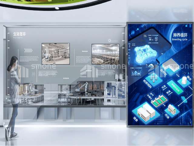 宁德小吃特产安海土笋冻